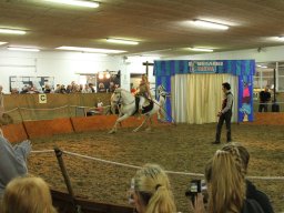 IMG_5260_web